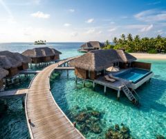 Travel and Hotel