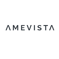 Amevista IT