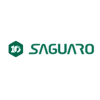 Saguaro Shoes DE