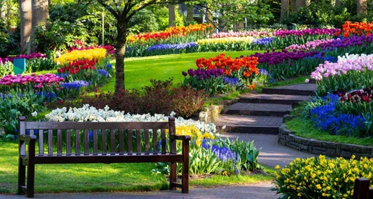 trip-to-the-netherlands